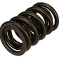 Ford Racing  Replacement Hydraulic Roller Valve Spring - Single (For M-6049-SCJA) M-6513-17341