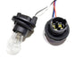 AlphaRex 18-20 Ford F-150 Wiring Adapter OEM to AlphaRex Taillight Converter (Req 18-20 Ford F-150) 652200 *Discontinued