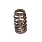 Comp Cams 1.415 BEEHIVE SPRING