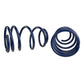 Ford Performance Parts Ford Racing 2007-2014 Mustang Shelby GT500 Springs
