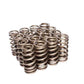 Comp Cams Beehive Valve Springs Single Over Head Cam Ford 4.6L