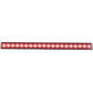 Anzo Universal 24in Slimline LED Light Bar (Red)