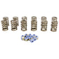 COMP Cams 88-06 Jeep 4.0L .450in Lift Valve Springs Kit 983J-KIT