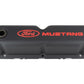Ford Engine Dress up Kit Black w/Ford Racing Logo FRD302-500