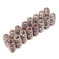 Ford Boss 302R Valve Spring Kit 2011-up 5.0L Engine FRDM6513-M50BR