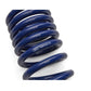 Ford Racing 2024 Mustang GT Coupe (w/Passive Suspension) Track Lowering Spring Kit M-5300-S65T