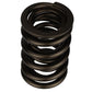 Ford Racing Replacement Valve Springs (TVS-1734) - Set Of 8 M-6513-17348