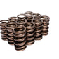 Comp Cams Dual Valve Springs: 1.437" O.D. Outer, .697" I.D. Inner
