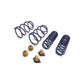 Ford Performance Parts Ford Racing 2012-2013 BOSS 302 Lowering Springs