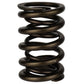 Ford Racing  Replacement Hydraulic Roller Valve Spring - Single (For M-6049-SCJA) M-6513-17341