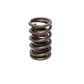 Comp Cams 920-974 05594