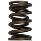 Ford Racing  Replacement Hydraulic Roller Valve Spring - Single (For M-6049-SCJA) M-6513-17341