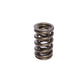 COMP Cams Valve Spring 1.300in Gm LS1 Du 26921-1