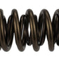 Ford Racing  Replacement Hydraulic Roller Valve Spring - Single (For M-6049-SCJA) M-6513-17341