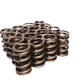 Comp Cams Dual Valve Springs Inter-Fit 1.550