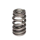Comp Cams Beehive Valve Spring High Performsnce GM LS1