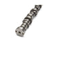 Ford Performance Parts Ford Racing Small Block V-8 Hydraulic Roller Tappet Camshafts