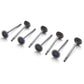 Ford Racing Coyote 5.2L Lightweight Exhaust Valve - Set of 8 M-6505-M52