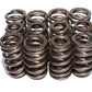Comp Cams Beehive Valve Springs: Top 1.065" O.D., .650" I.D.; Bottom 1.415" O.D