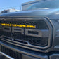 2nd Generation Ford Raptor 30” Behind The Grill Mounts