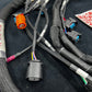 SPDZ1 OBD2 Budget Tucked K-Series Harness V2 K20 K24 Civic Integra DC2 EG EK (With Power Cord)