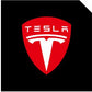 LED Logo Tesla Puddle Lights for Model 3/Y/S/X | TESERY