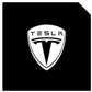 LED Logo Tesla Puddle Lights for Model 3/Y/S/X | TESERY