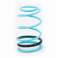 Godspeed Traction-S Performance Lowering Springs For Nissan Sentra (B15) 2000-2006