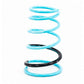 Godspeed Traction-S Performance Lowering Springs For Scion tC (ANT10) 2005-10