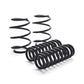 MMX Performance MINI R56 JCW GP2 Lowering Spring Set | 30mm Drop