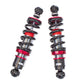 Godspeed Audi R8 Type 42/Type 4S MAXX Coilovers/MAXX Coilovers Lowering Kit
