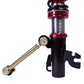 Godspeed Mini Cooper Clubman (R55/F54) MAXX Coilovers