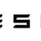 Tailgate Lettered Rear Logo Replacement For Tesla Model 3/Y