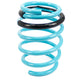 Godspeed Traction-S Performance Lowering Springs For Nissan Sentra (B16) 2007-12