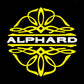 Toyota ALPHARD 3rd/4th Gen Premium Door Puddle Lights Various Designs 2015-2026