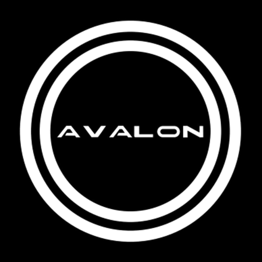 Toyota Avalon 2nd Gen Premium Door Puddle Lights Various Designs 2000-2004