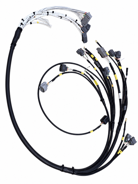 VTI Motorsport H2B Engine Loom for P28 / Hondata S300