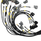 VTI Motorsport H2B Engine Loom for P28 / Hondata S300