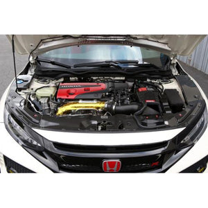 APR Performance Carbon Fiber Cooling Plate Kit - Honda Civic Type R FK8 17+ (3pc Kit)