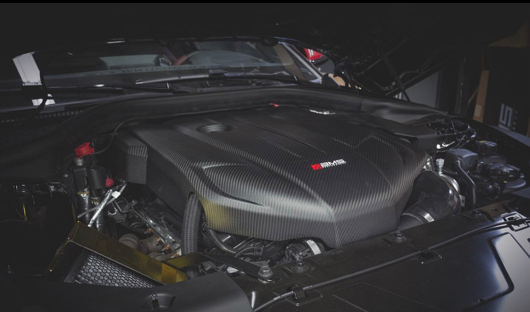 AMS 2020 supra carbon engine cover